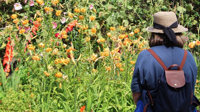 A woman stands looking at a long flower border with orange and yellow flowers
